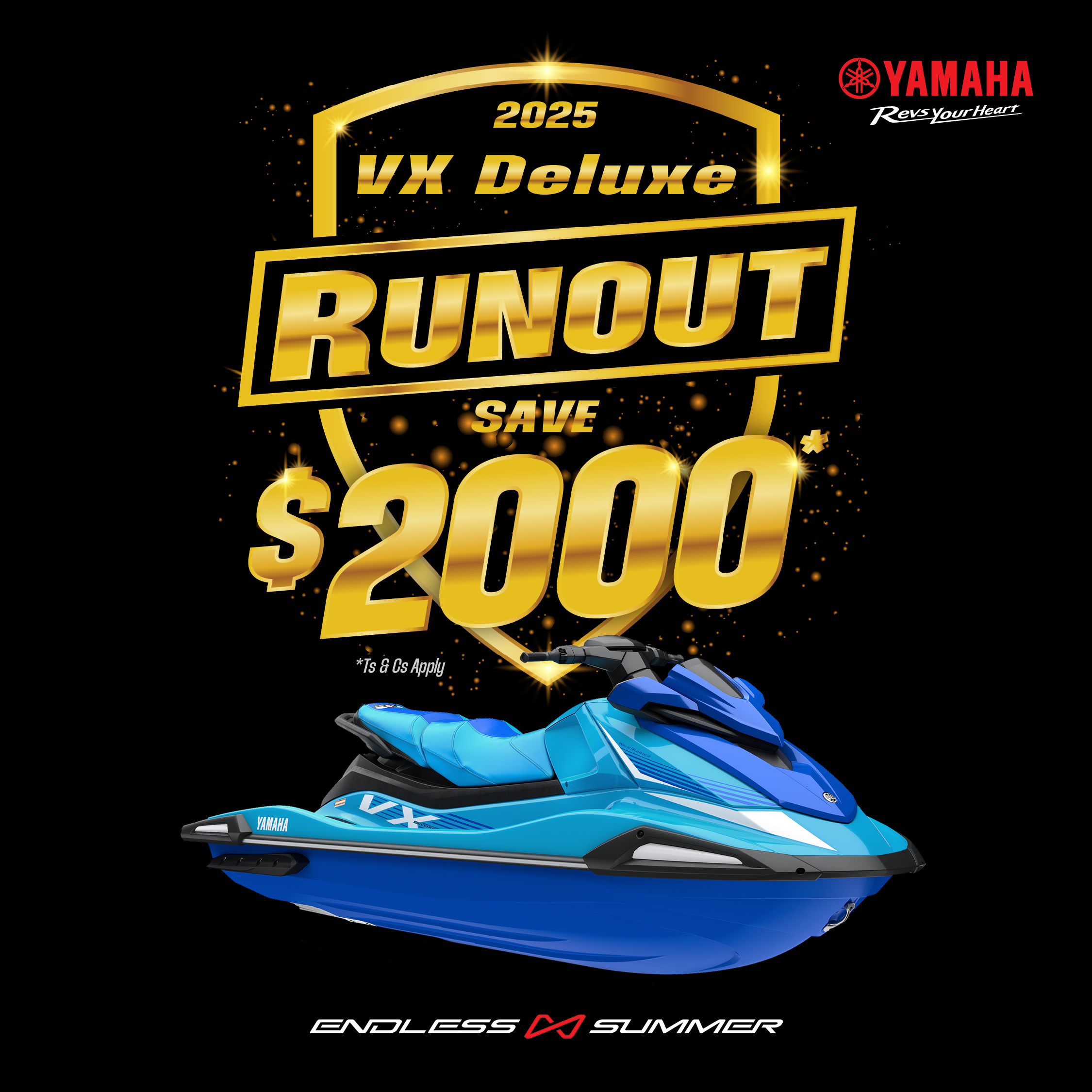 WAVERUNNER VX DELUXE